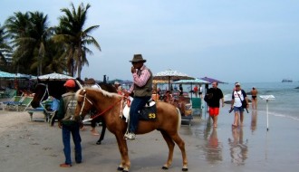 Hua Hin Horse