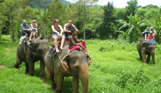 Elephant Sanctuary at Koh Chang
