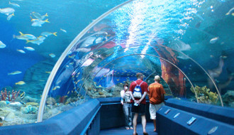 Underwater World Pattaya